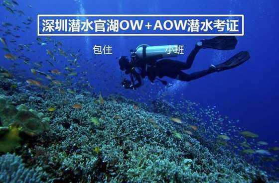 逃出奇怪农舍